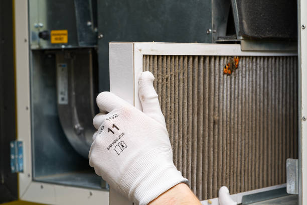 Best Affordable Air Duct Cleaning  in Winnsboro, TX